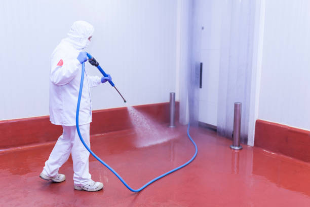 Best Boat and Dock Cleaning  in Seven Points, TX